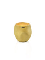YELLOW EARTH S