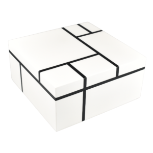 קופסא לאחסון לבן ושחור