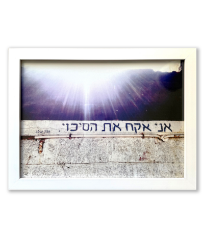 אקח את הסיכוי