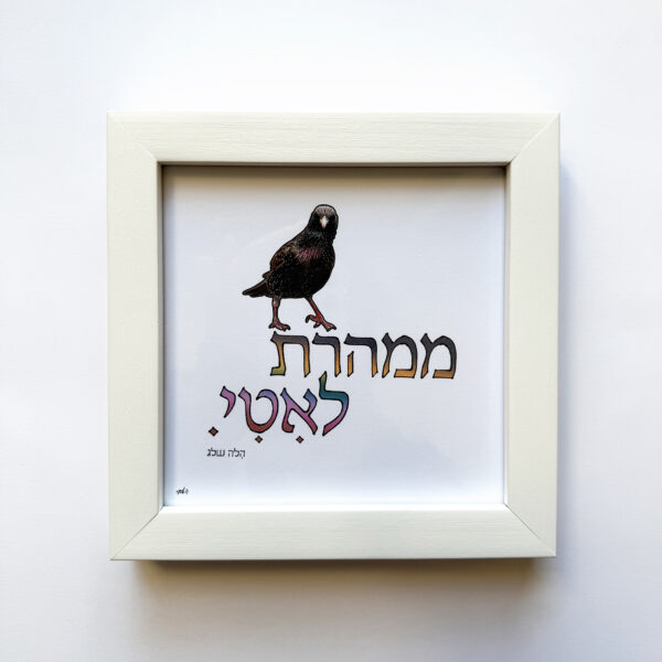 ממהרת לאיטי, יצירה ממוסגרת